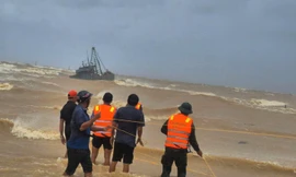 Bão Linda từng gây thảm cảnh với hơn 3.000 ngư dân Nam Bộ chếtẢnh: Tư liệu