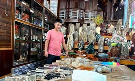 Các sản phẩm gỗ hóa đá được anh Thành trưng bày tại quán cà phê