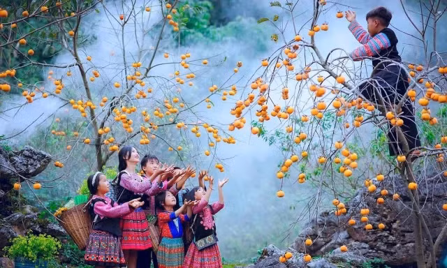 Điều chỉnh quy hoạch Khu du lịch quốc gia Mộc Châu 