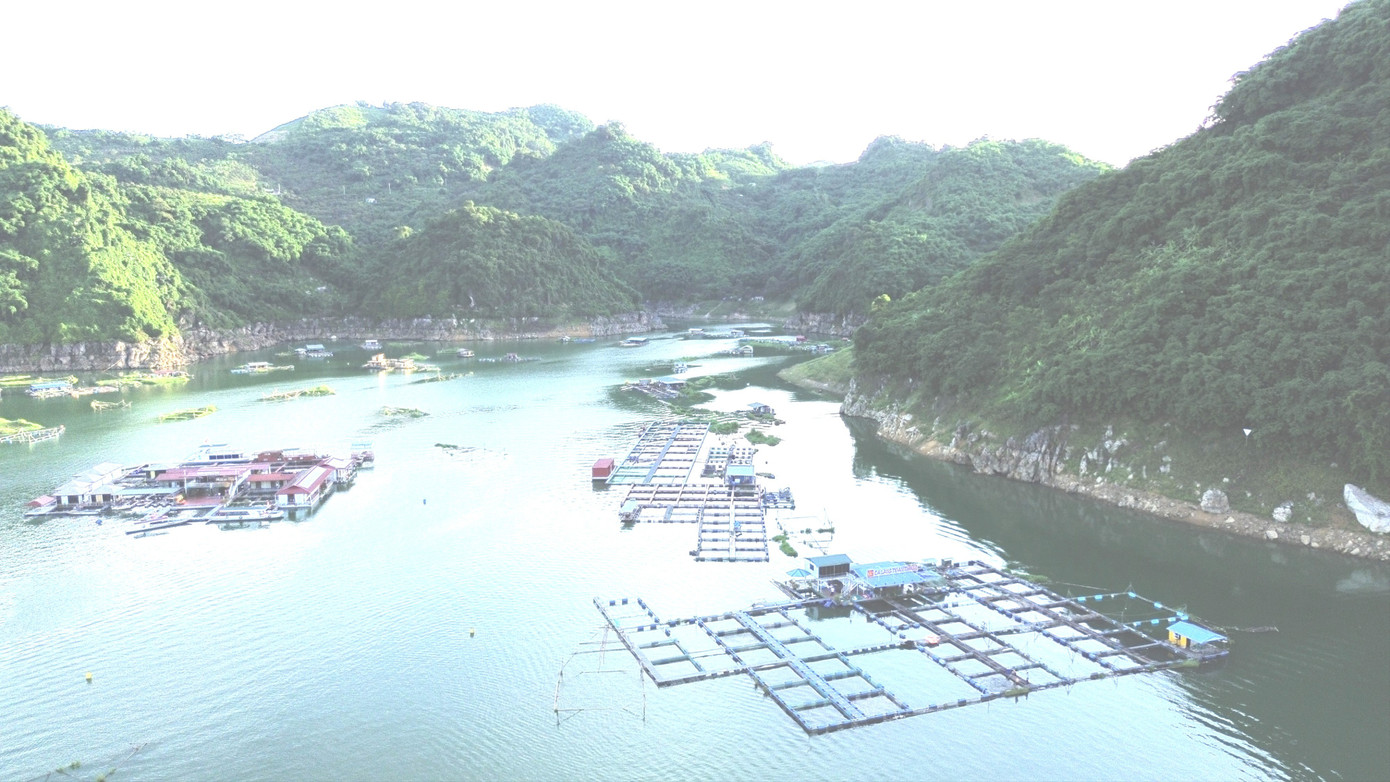 Thống kê của UBND phường Thống Nhất cho thấy, chỉ riêng khu vực này đã có các cơ sở lớn hoạt động trên hồ như Homestay PASSION, Homestay HOBI, Nhà hàng Hải Đăng, Homestay Mường Tháu, Nhà hàng Vista và Homestay Meng Lake, chưa kể hàng loạt cơ sở nhỏ khác như Yến Tạ, Hải Lý, Vua Cá Long Phượng, Nga Chung… 3-4646.jpg