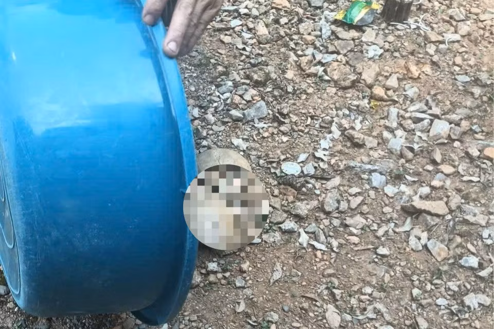 771847973-1052200590928649-2254425141364179097-n-8370.jpg