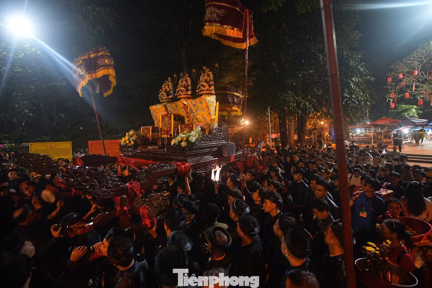 tp-denva37.jpg