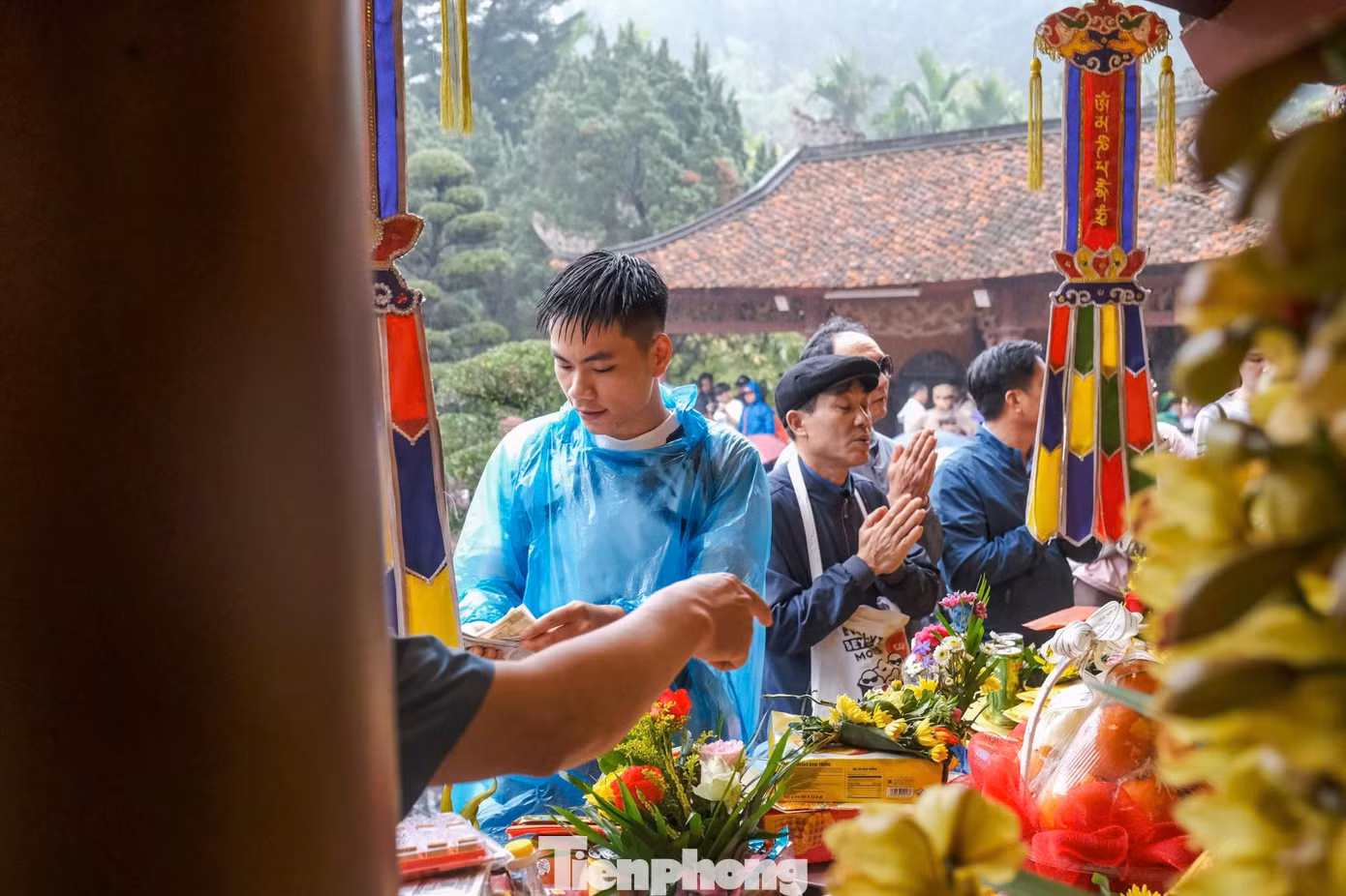 tp-donghuongtich50.jpg