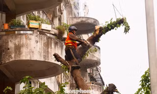 Hà Nội phá dỡ chung cư 51 Huỳnh Thúc Kháng sau 35 năm