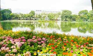 Hồ Gươm rực rỡ sắc hoa, khoảnh khắc đẹp như cổ tích giữa lòng Hà Nội