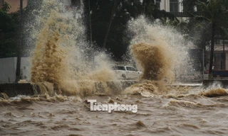 Bão số 3 đổ bộ vùng biển Cát Bà, Đồ Sơn, sóng cao 6-7 m