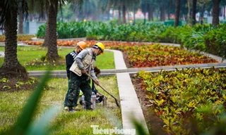 Công viên hồ điều hòa Mai Dịch 'thay áo mới' sau phản ánh xuống cấp