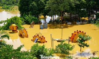 Nước sông Hồng dâng cao, khu dân cư ngập gần tới mái nhà