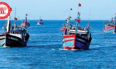 Thuyền trưởng hầu tòa vì tổ chức cho ngư dân xuất cảnh trái phép