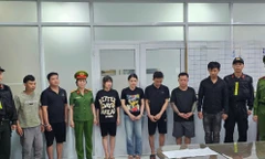 Triệt phá đường dây 'phù phép' thịt heo thành thịt bò, mỗi ngày bán 600 kg ra thị trường