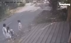 [Clip]: Ô tô tông văng người phụ nữ đi bộ cùng 3 trẻ nhỏ ở TPHCM