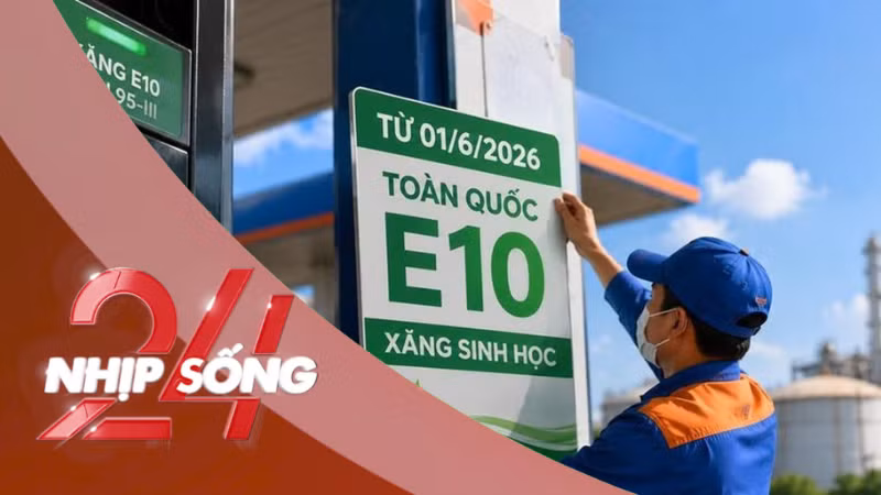NHỊP SỐNG 24: Xăng sinh học E10 bán đại trà từ hôm nay, Bộ Công thương khuyến cáo người dùng điều gì?