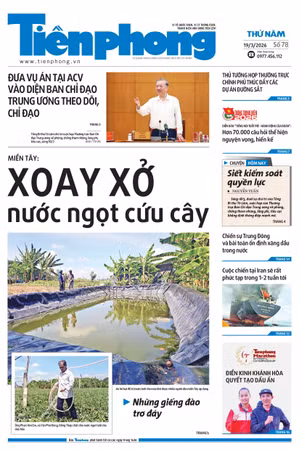 Tiền Phong số 78/2026