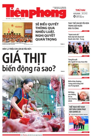 Tiền Phong số 342/2025