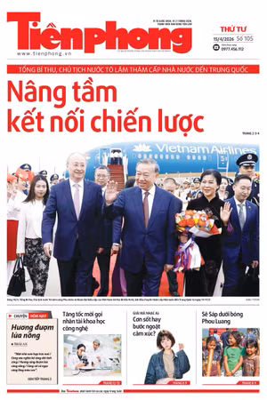 Tiền Phong số 105/2026