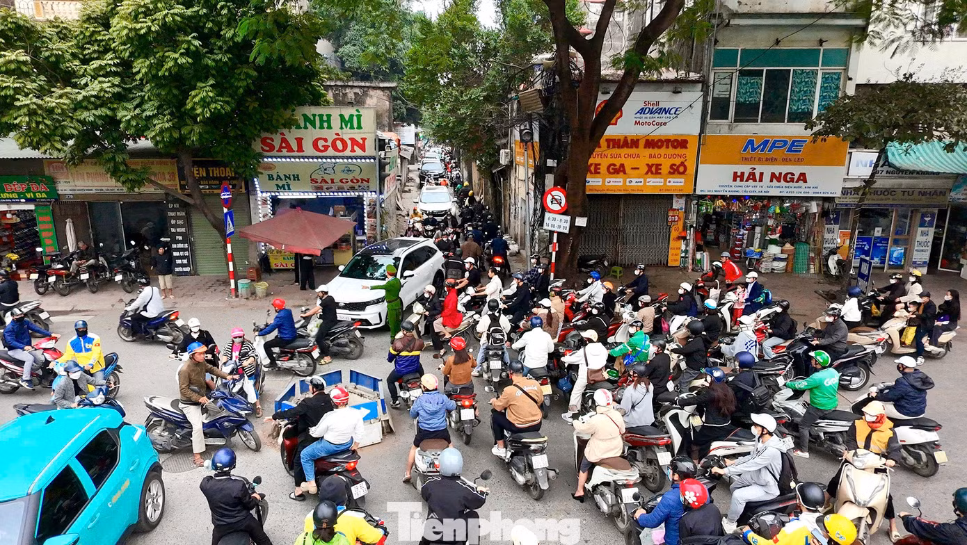 tp-ngo.jpg