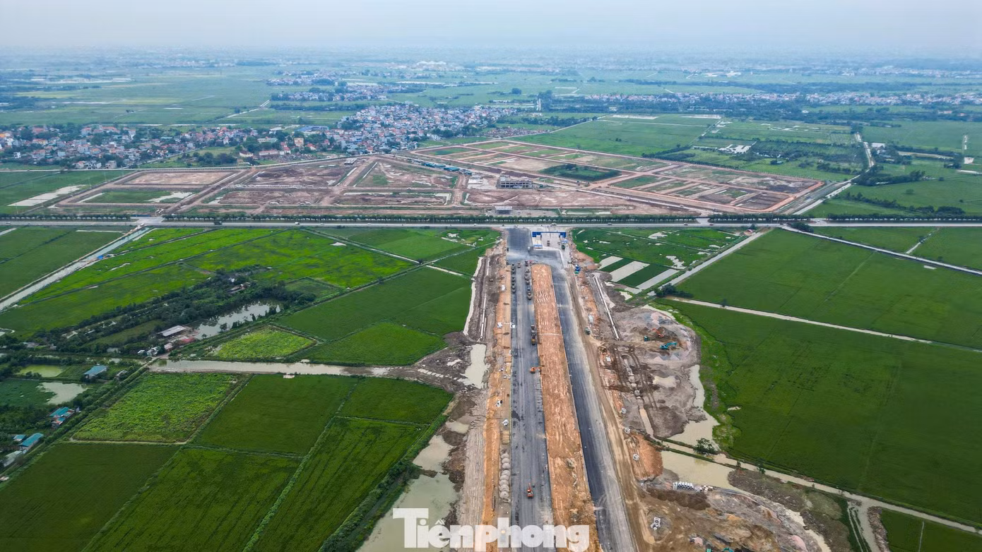 tp-t8.jpg