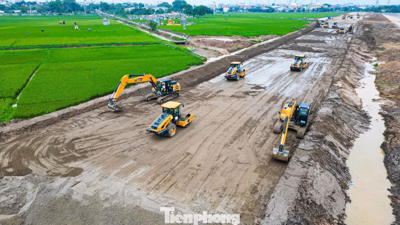 tp-t181.jpg