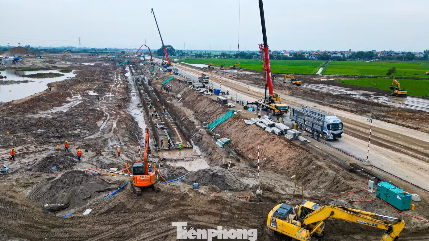 tp-t16.jpg