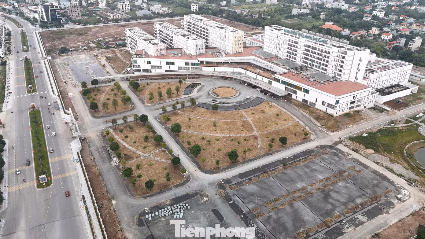 tp-bm-22.jpg