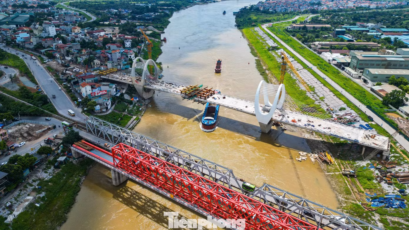 tp-d5.jpg