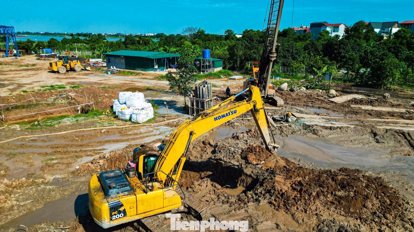 tp-h20.jpg