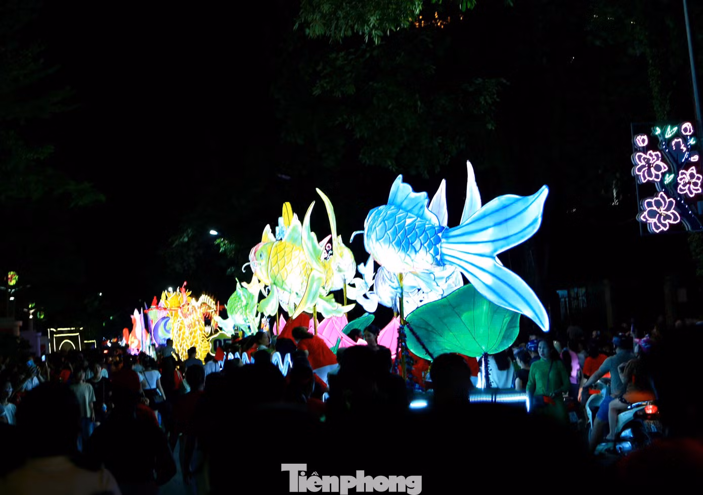 tp-tt-15.jpg