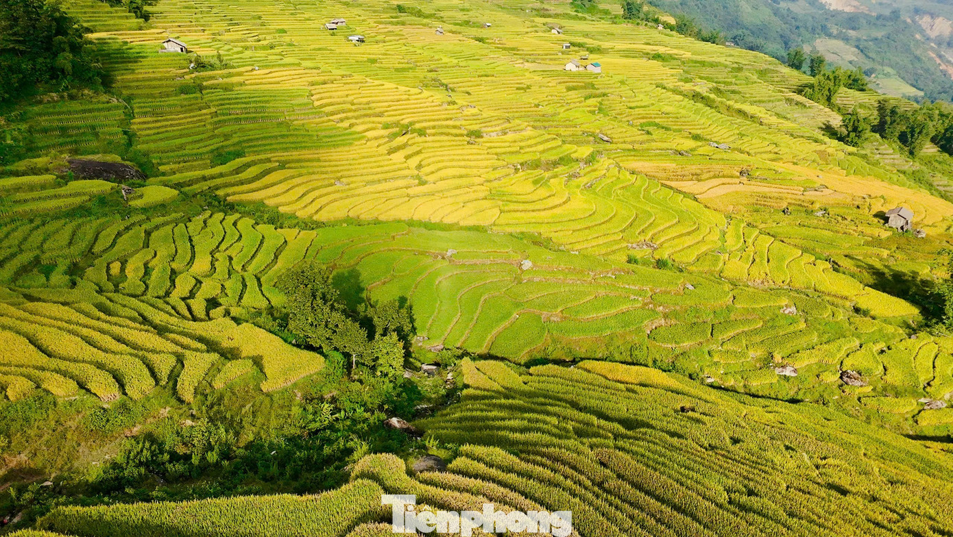 Từ lâu, nơi đây đã nổi tiếng với khung cảnh hùng vĩ, những dải ruộng bậc thang nối tiếp nhau như những nấc thang vươn lên trời xanh, đặc biệt rực rỡ vào mùa lúa chín tháng 9. tp-y-ty-19.jpg