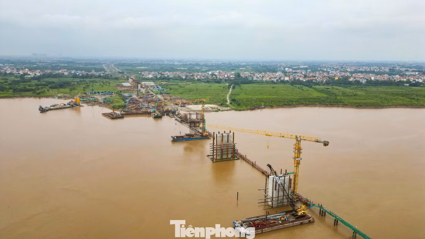 tp-h5.jpg