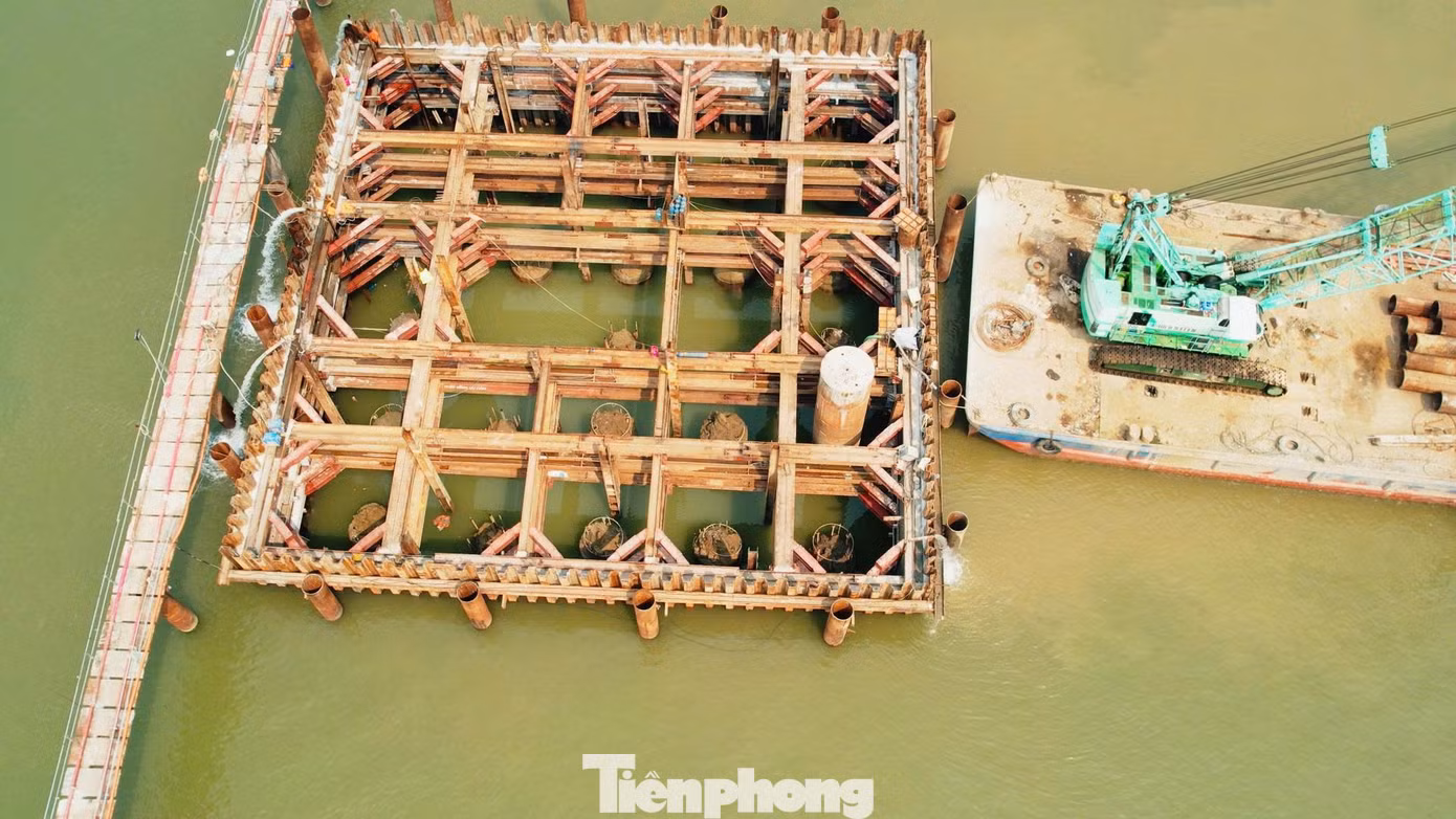 tp-h2.jpg