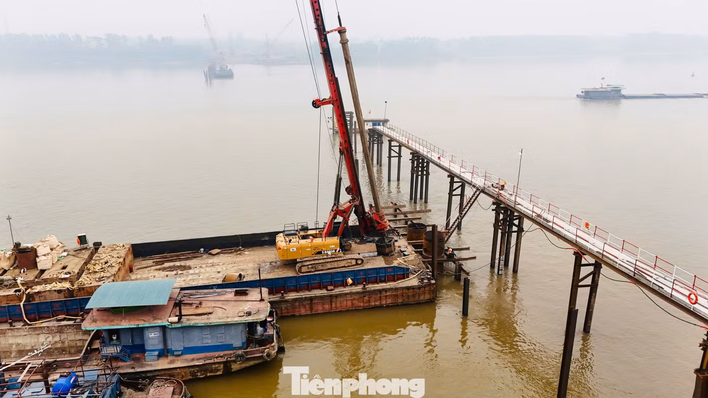 tp-vp-24.jpg