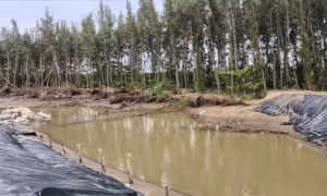 Sạt lở trải dài cả chục km bờ biển Vĩnh Long