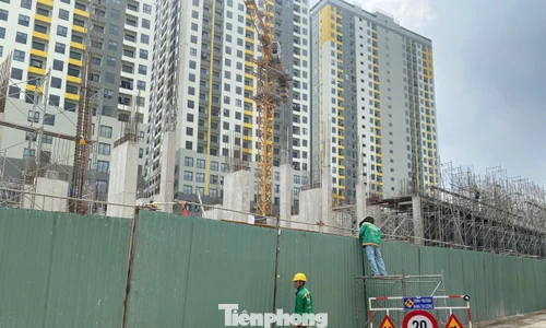 Giá căn hộ tăng hơn 300% trong 10 năm qua