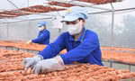 Giá tăng vù vù, đặc sản Cà Mau không có mà bán