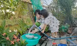 Hàng trăm hộ dân ở Cà Mau đón nước sạch sau bài báo trên Tiền Phong