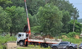 Cần cẩu va dây điện, 2 người thương vong