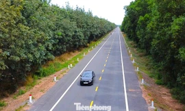 Tuyến đường băng qua rừng cao su đẹp như tranh trước ngày thông xe