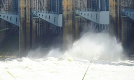 Hồ thủy điện lớn nhất miền Nam xả lũ tăng gấp 3 lần, cảnh báo ngập úng