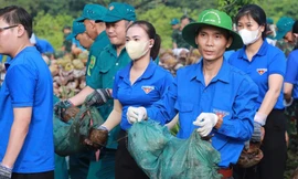 Ra quân vệ sinh đường phố TPHCM