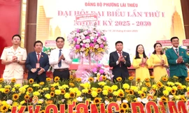 Bảo tồn vườn cây ăn trái nức tiếng Lái Thiêu để phát triển du lịch sinh thái