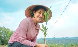 Nữ cử nhân về quê làm giàu từ mô hình nông nghiệp sạch