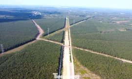 Hình hài đường cao tốc TPHCM đi Tây Nguyên sau gần 1 năm khởi công