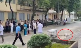 Cụ ông tử vong dưới sân bệnh viện ở Đồng Nai, nghi rơi lầu