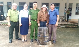 Thấy khỉ đuôi lợn đi lạc vào nhà, người phụ nữ bắt nộp cho công an