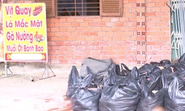 Phát hiện hơn 2 tấn vịt chết bốc mùi tại một cơ sở vịt quay ở TPHCM 