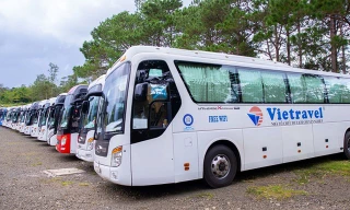 Nữ cổ đông bí ẩn mạnh tay chi tiền gom cổ phiếu Vietravel