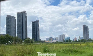 TPHCM xây dựng hệ số điều chỉnh bảng giá đất ra sao?