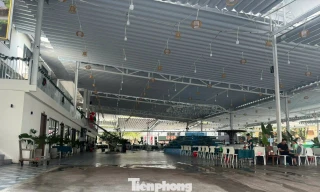 Đề xuất biến 9 khu 'đất vàng' ở TPHCM thành vườn hoa trong dịp Tết Bính Ngọ