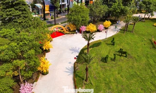 Tiến độ xây dựng 9 khu đất vàng ở TPHCM thành vườn hoa Tết Bính Ngọ 2026