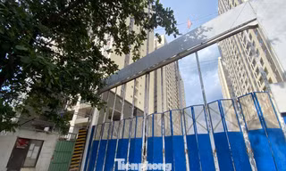 Chủ đầu tư dự án nhà ở xã hội 'hot' nhất TPHCM cấm nhân viên nhận cọc